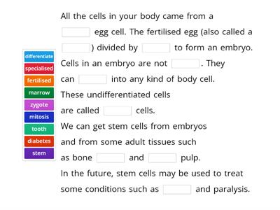 Stem Cells