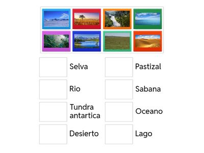 Trabajamos los Ecosistemas 