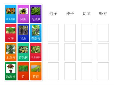 三年级科学：植物的繁殖方法