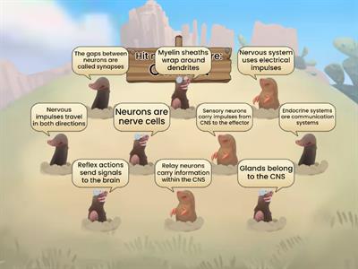 Nervous System Whack-A-Mole