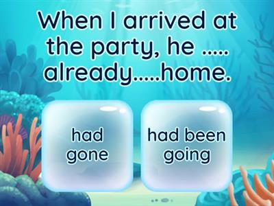  Past Perfect/Past Perfect Continuous