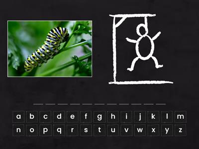 Level 7 - Lesson 5 -Hangman