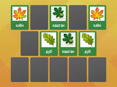  листья деревьев