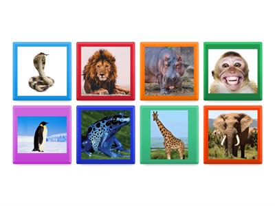 ZOO animals_opposite, between, next to