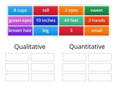 Qualitative and Quantitative Data Sort