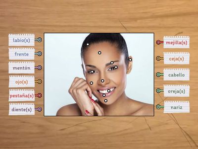 Partes del rostro