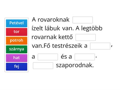 Rovarok