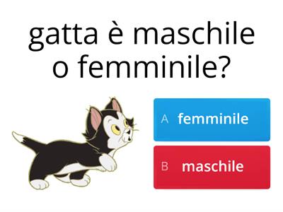 IL GENERE DEL NOME: maschile o femminile?