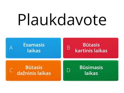 Veiksmažodžių laikai