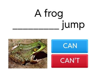 CAN AND CANT- ANIMALS