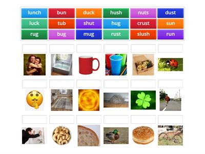 u focus  - a i u o  pb td ckg fv th sh chj h w sz lr mn
