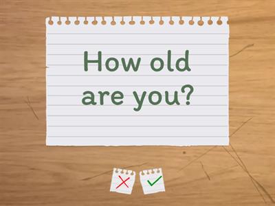 Spotlight 3, Welcome Back