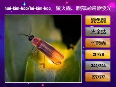 臺羅拼音ㄅㄆㄇ_1732548