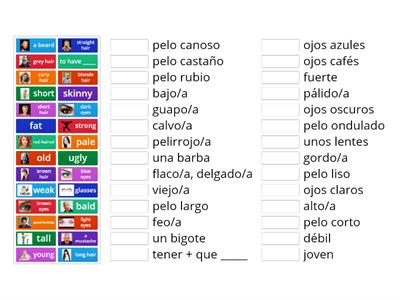 Los adjetivos físicos	