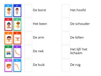 Luisteren Woordenschat het Lichaam 1