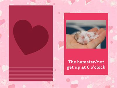 Present simple negative - make sentences 