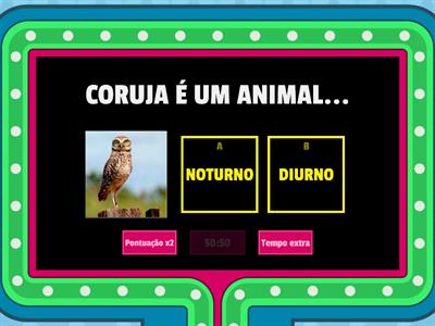 ANIMAIS NOTURNOS E DIURNOS