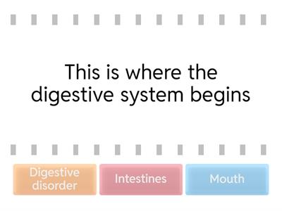 Digestive system 