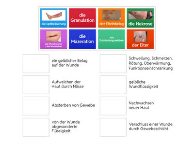 Wunden beschreiben 