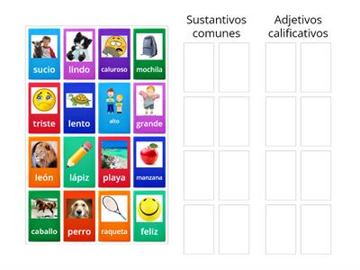 Sustantivos comunes y adjetivos calificativos 