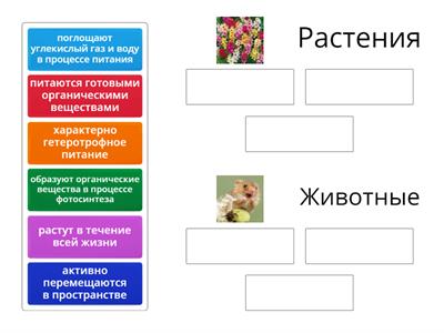 Систематические группы