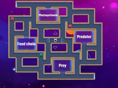 junior cert science 'Food chains and food webs