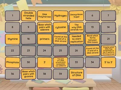 1.2 DNA Structure and Replication