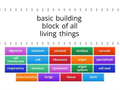 Cells, Tissues, Organs and Systems