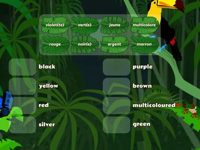 Year 9 French Colours