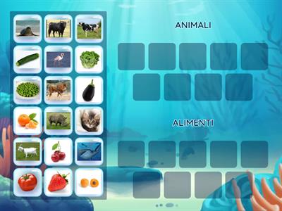 CATEGORIZZAZIONE: animali-alimenti