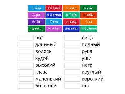 Китайский язык: части тела и признаки