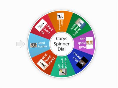 Carys Spinner Dial