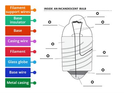 Inside an Incandescent Bulb