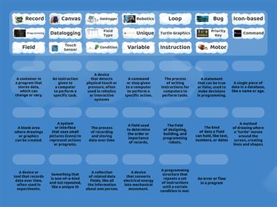 ICT - Grade 6 - Glossry words 3