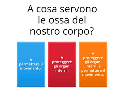 APPARATO SCHELETRICO - 5ª primaria