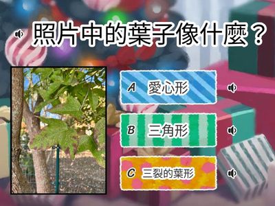 樹葉精靈_國小乙