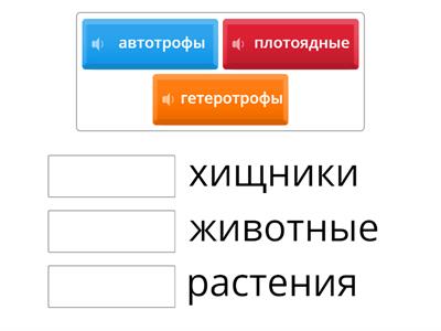 Типы питания