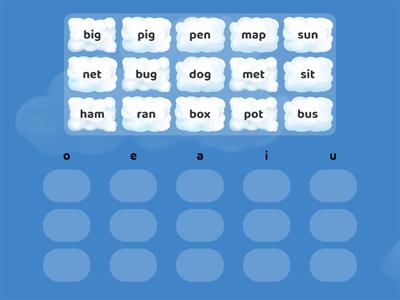 CVC short vowel sort