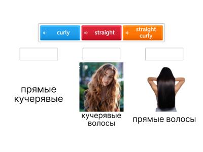 7 класс ПА 2025