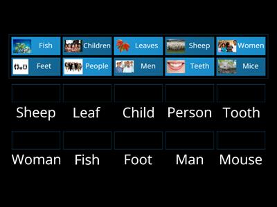 Irregular Plural Nouns