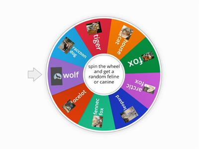 Felines and canines generator