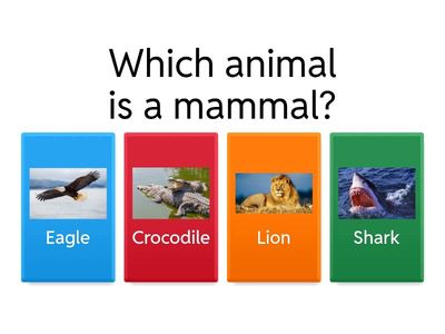 Comparing and Contrasting Animals