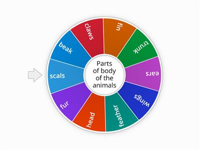 The parts of body of  the animals