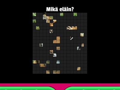 Mikä eläin?