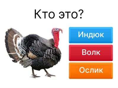 Слова на букву Ии.