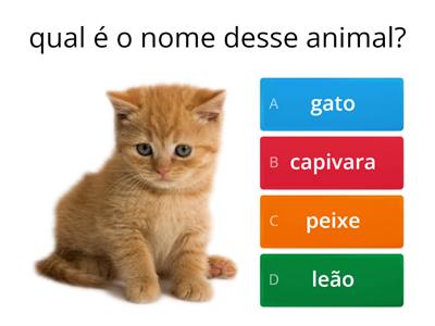 como é o nome de cada animal