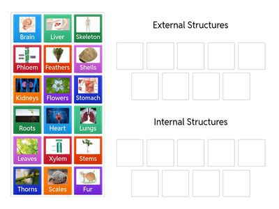 Internal vs External Structures 