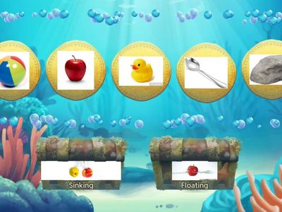 The Water Mystery: Sink or Float?