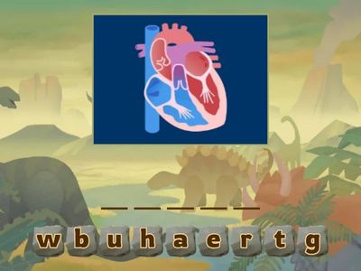 Go getter 3. Reading 5.5 The body vocabulary p.65 ex.2