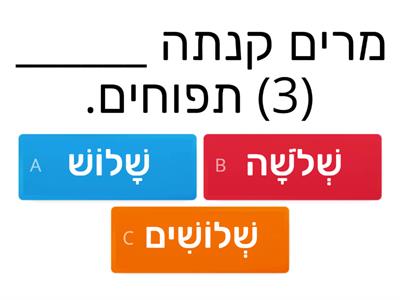 שם המספר 